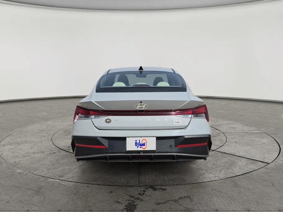 2024 Hyundai Elantra Fleet 