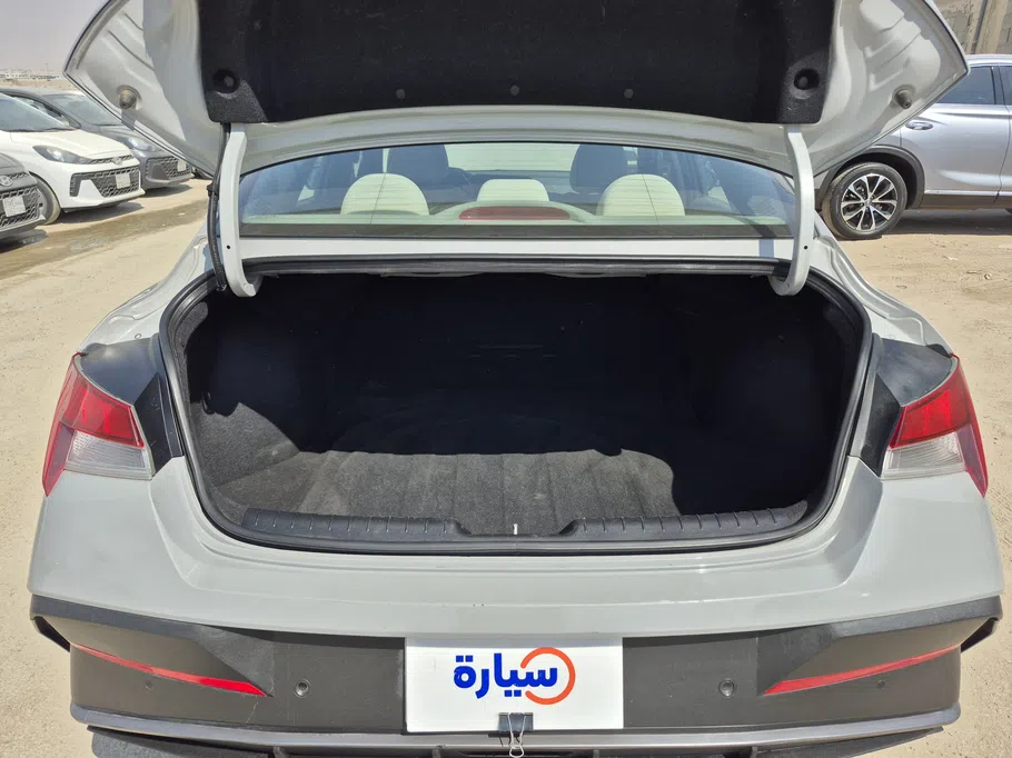 2024 Hyundai Elantra Fleet 