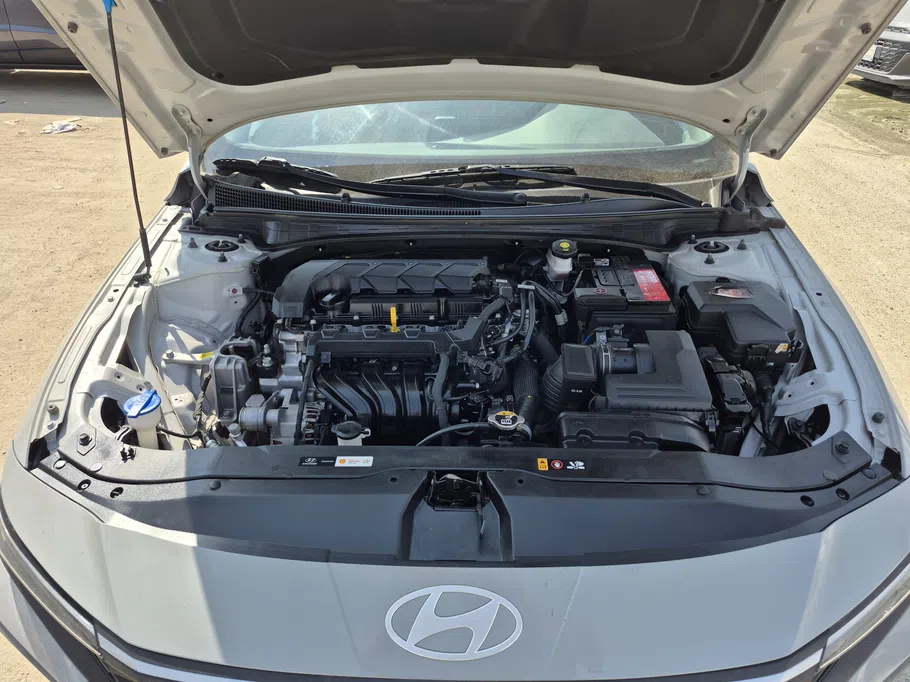 2024 Hyundai Elantra Fleet 