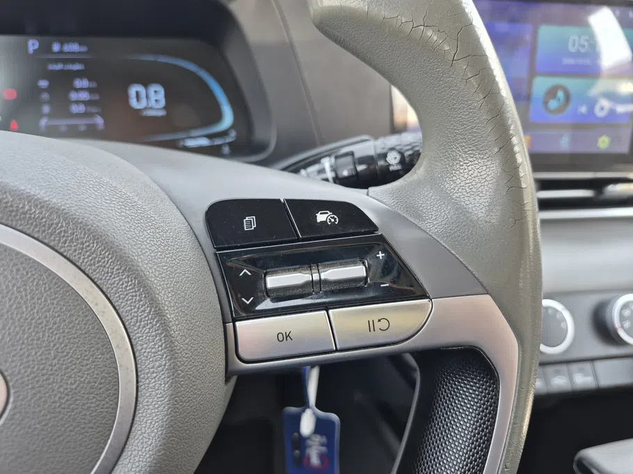 2024 Hyundai Elantra Fleet 
