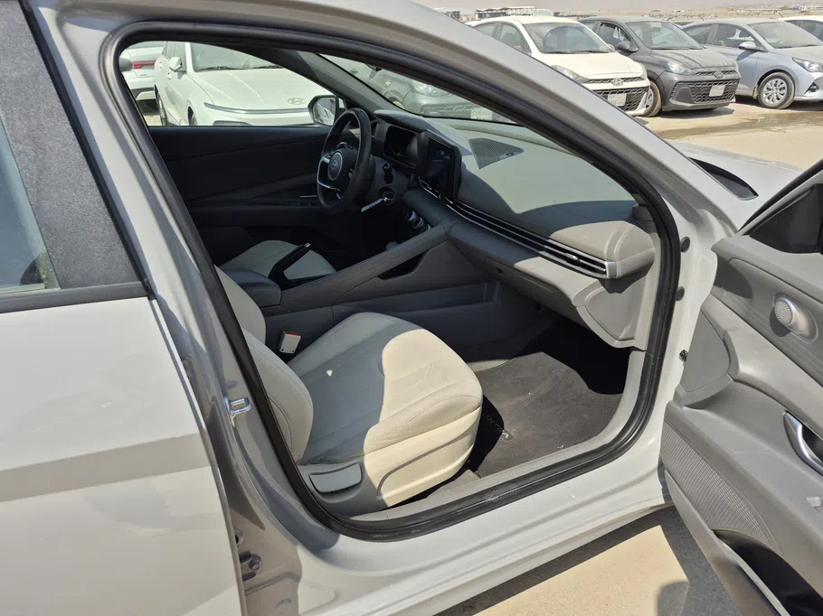 2024 Hyundai Elantra Fleet 