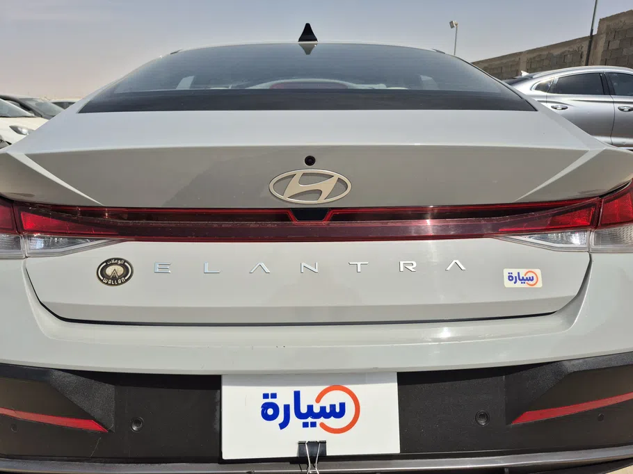 2024 Hyundai Elantra Fleet 