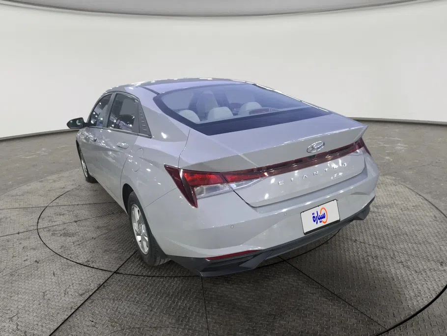 2023 Hyundai Elantra Fleet 