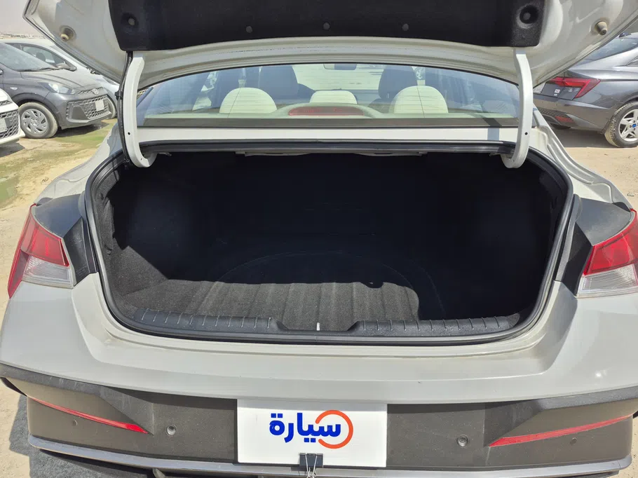 2025 Hyundai Elantra Fleet 