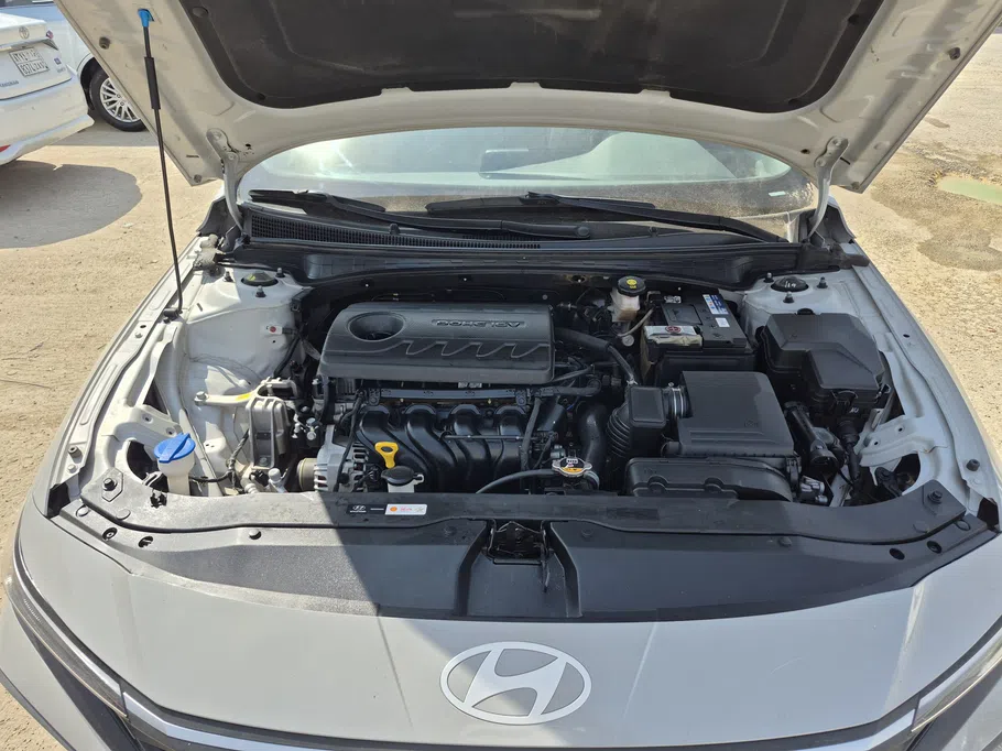 2025 Hyundai Elantra Fleet 