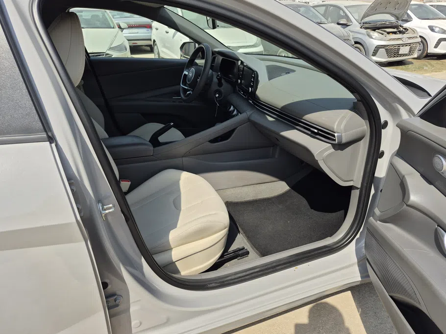 2025 Hyundai Elantra Fleet 