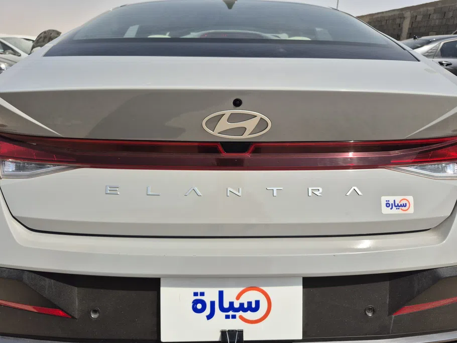 2025 Hyundai Elantra Fleet 