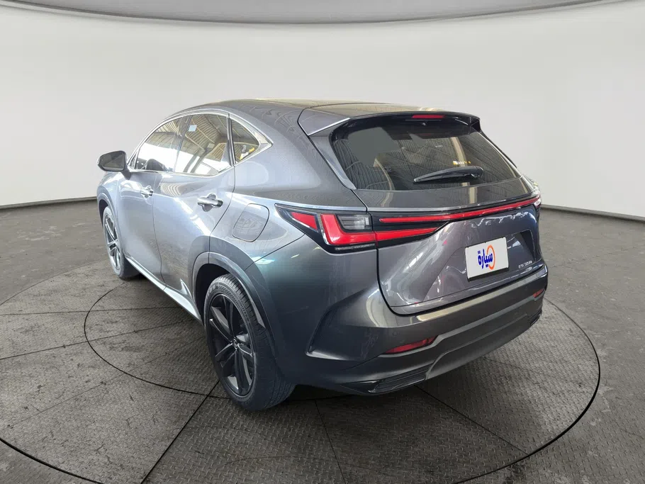 لكزس NX 350 AA Elegant	 2024 