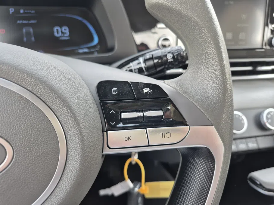 2025 Hyundai Elantra Fleet 